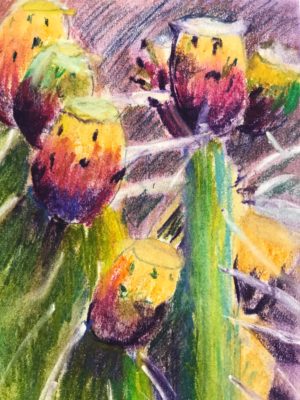 Flower pastel 5.5x6.5 inches on Canson pastel paper 19"x12" prickly pear pastel painting