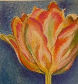 Flower pastel 5.5x6.5 inches on Canson pastel paper 19"x12" Tulip Verigated pastel painting
