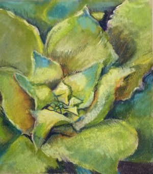 Flower pastel 5.5 x 6.5 inches on Canson pastel paper 19"x12" Succulent pastel painting